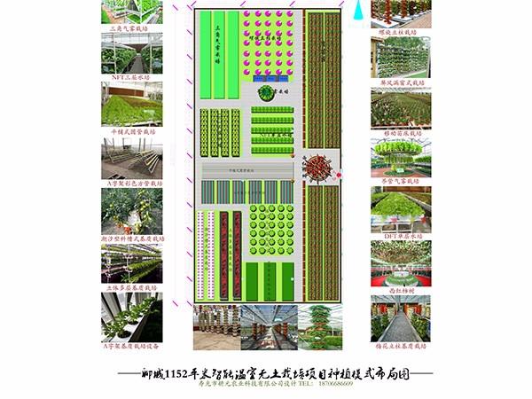 聊城11152平米智能溫室無土栽培設計方案